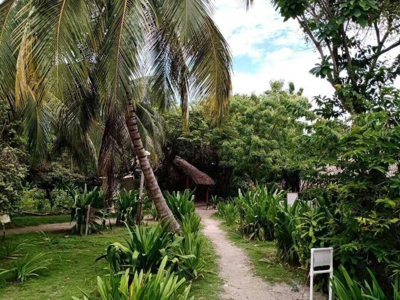 Las Palmeras image
