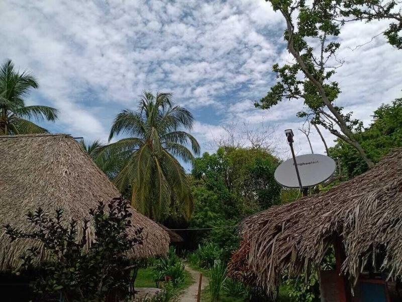 Las Palmeras image