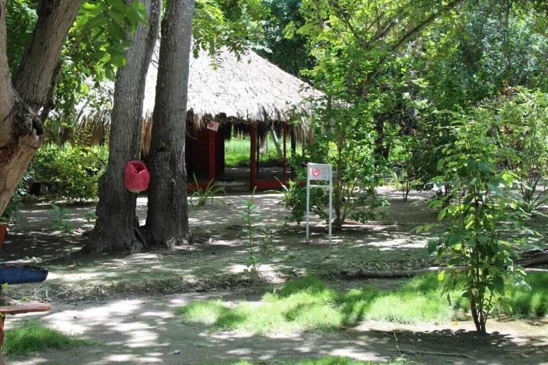 Las Palmeras image
