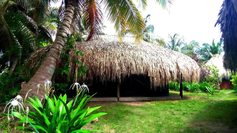 Las Palmeras image