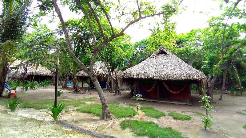 Las Palmeras image