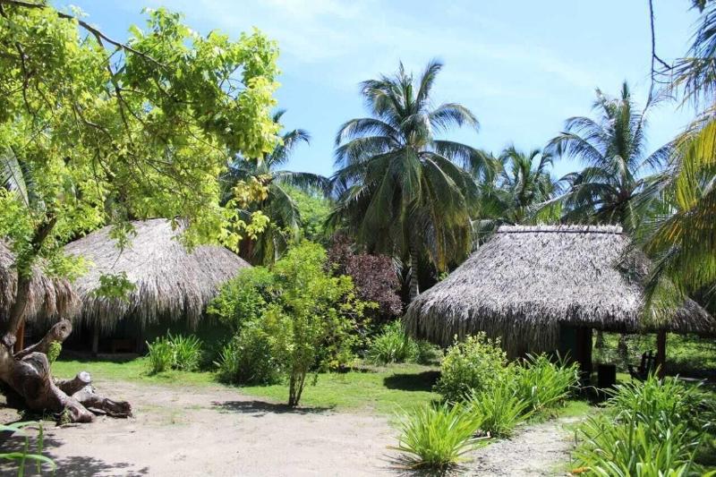 Las Palmeras image