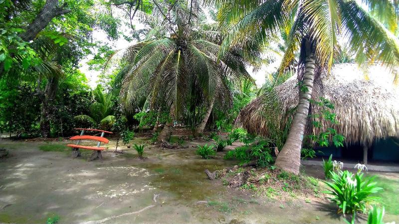Las Palmeras image