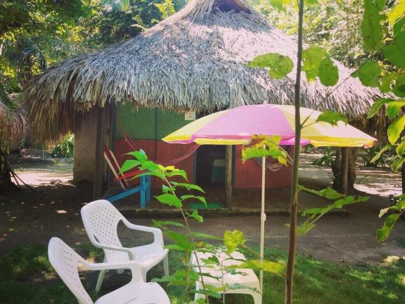 Las Palmeras image