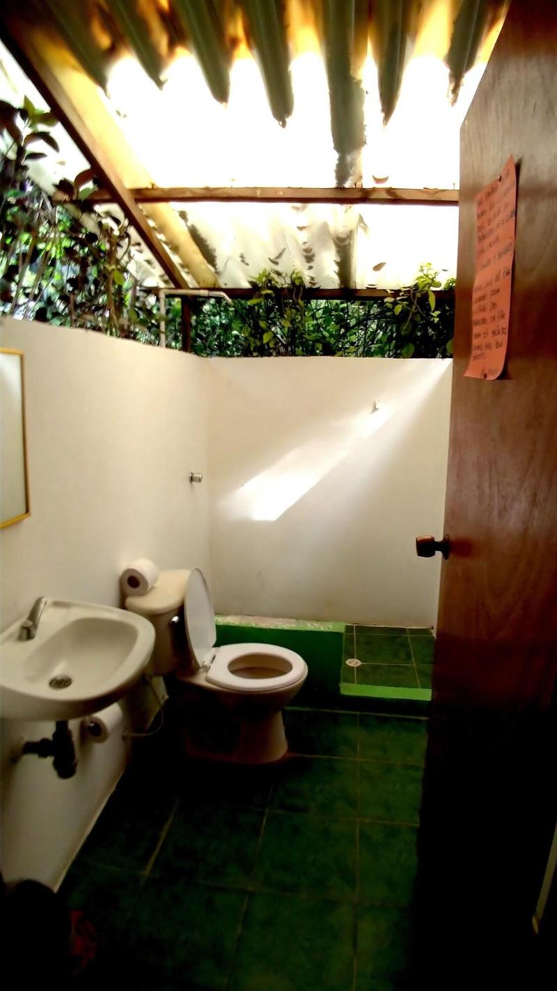 Las Palmeras image