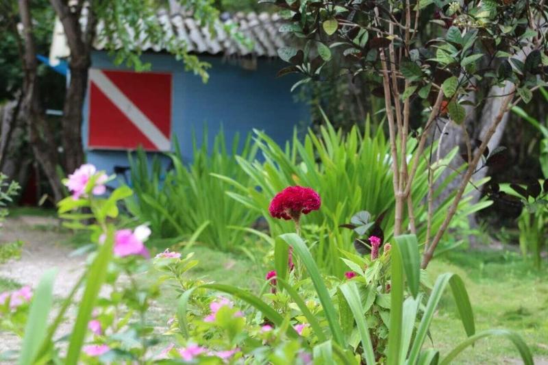 Las Palmeras image