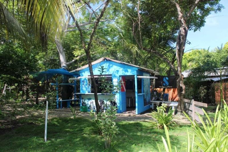 Las Palmeras image