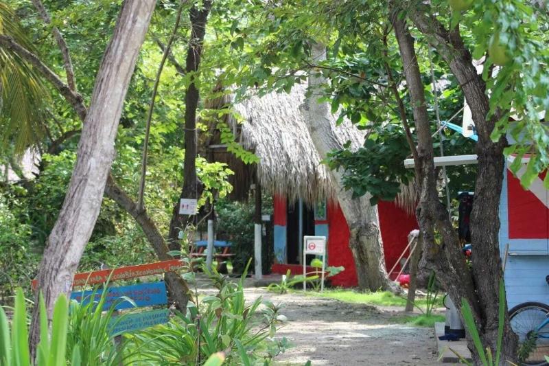 Las Palmeras image