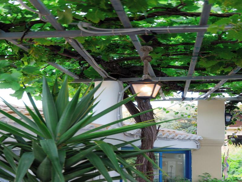 Sunsea Wellness Resort image