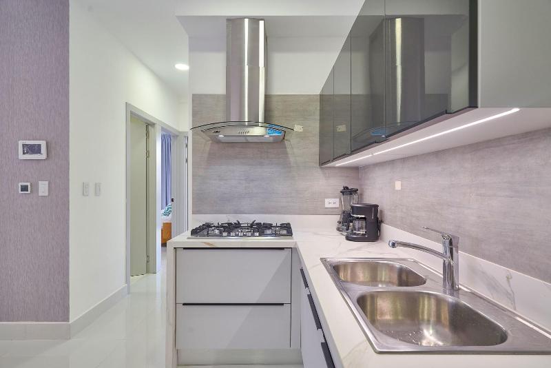 Monaco Residences Piantini image