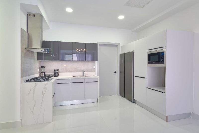 Monaco Residences Piantini image