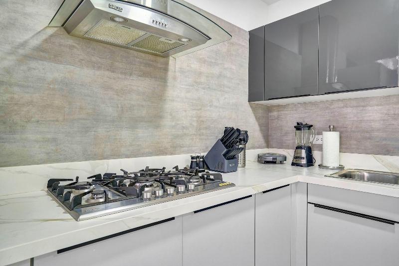 Monaco Residences Piantini image