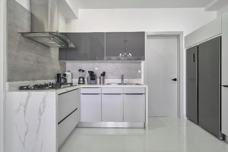 Monaco Residences Piantini image
