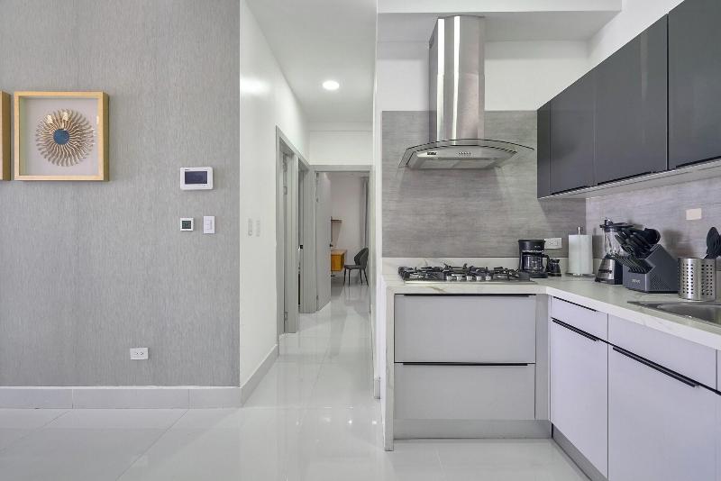 Monaco Residences Piantini image