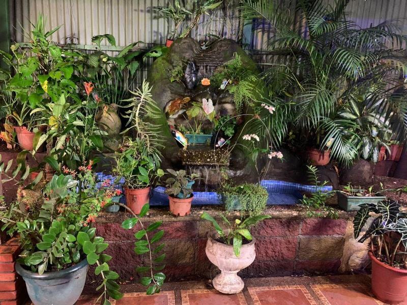 Gardens House Airport Juan Santamara A Alajuela image