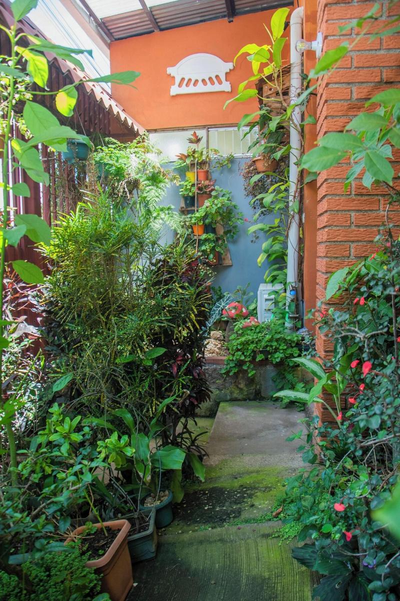 Gardens House Airport Juan Santamara A Alajuela image