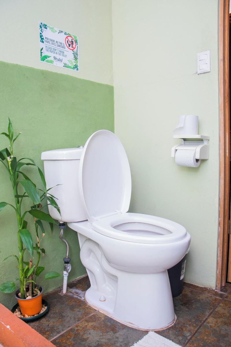 Gardens House Airport Juan Santamara A Alajuela image