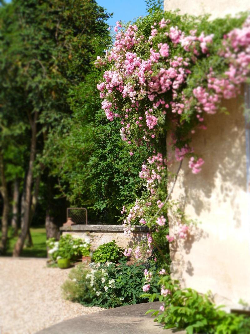 La Maison Du Cremant image