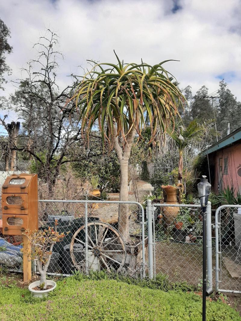 The New Star Motel 1950s Retro Lodging And Retrea image