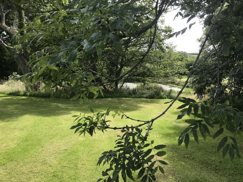 Tawny Lodge 1 Bedroom Blossom Farm image