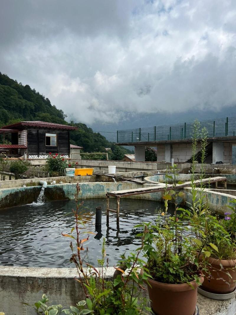 Yesilalan Hotel Caykara image
