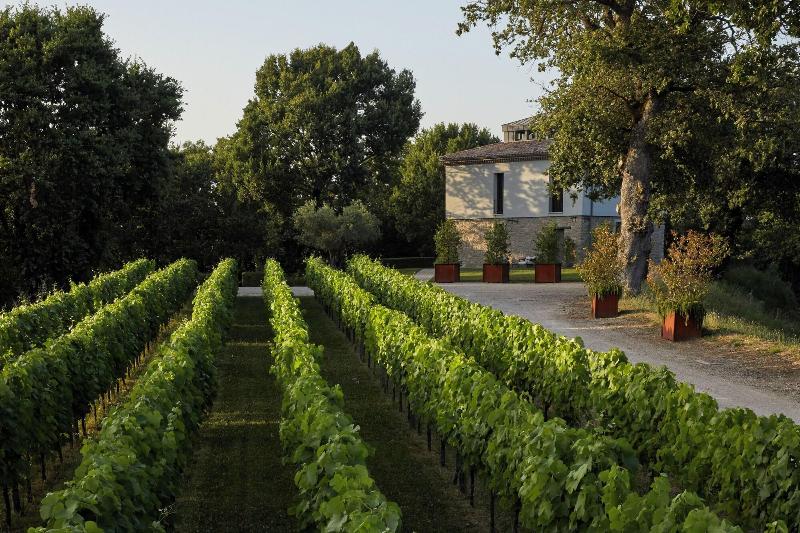 Feudi Di San Gregorio Wine Estate — photo 5
