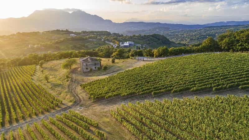 Feudi Di San Gregorio Wine Estate