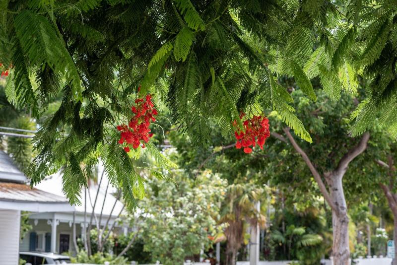 The Porch On Frances Inn