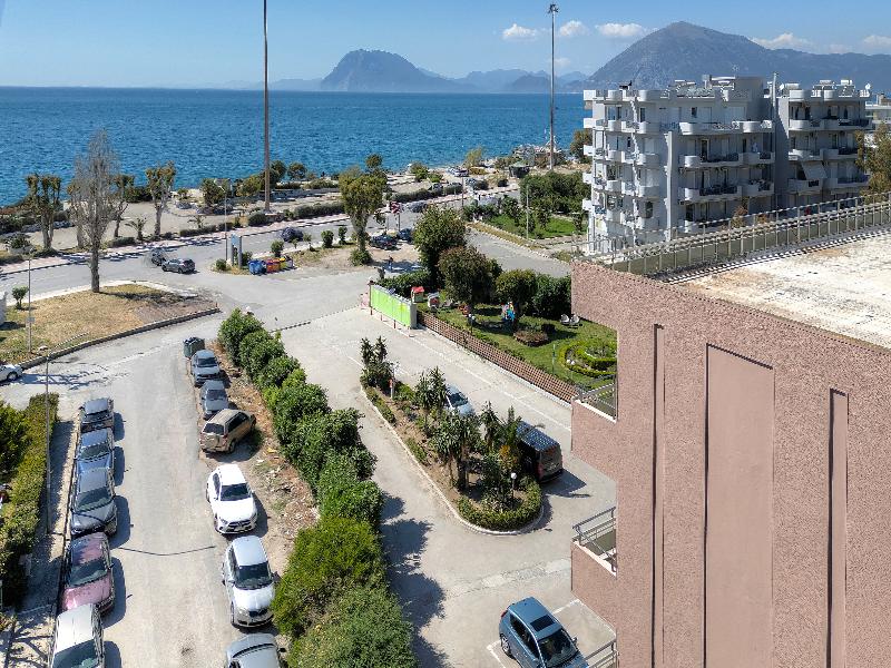 Delfini Patras image