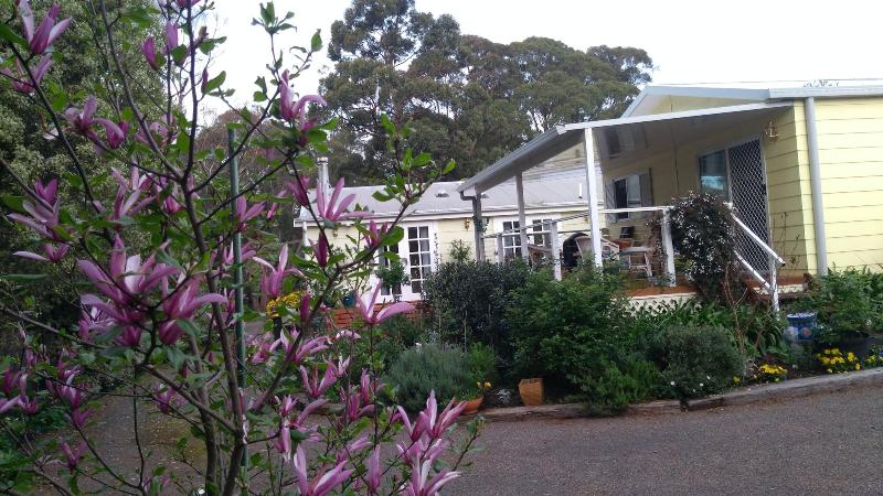 The Best Exotic Magnolia Cottage image