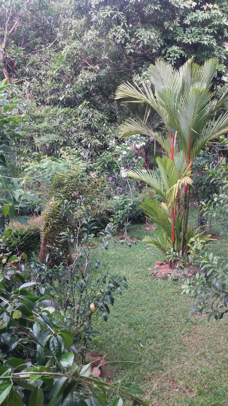 Ka Mario Guesthouse image