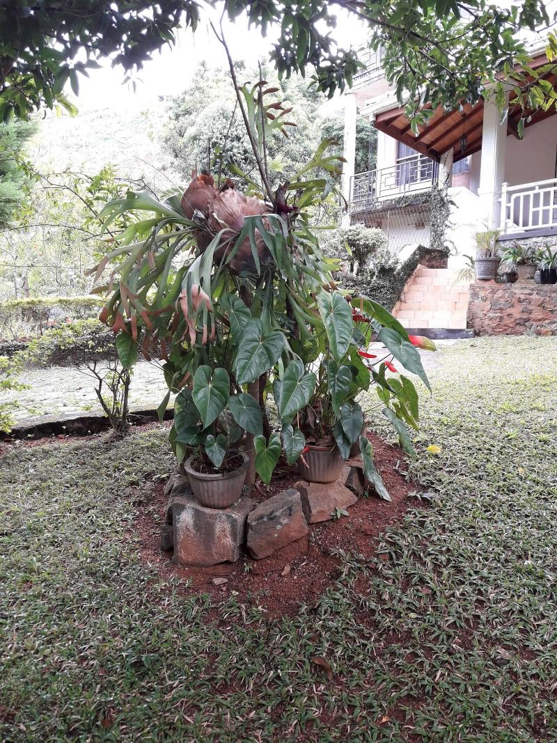 Ka Mario Guesthouse image