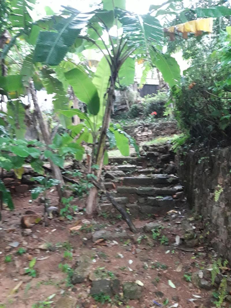 Ka Mario Guesthouse image