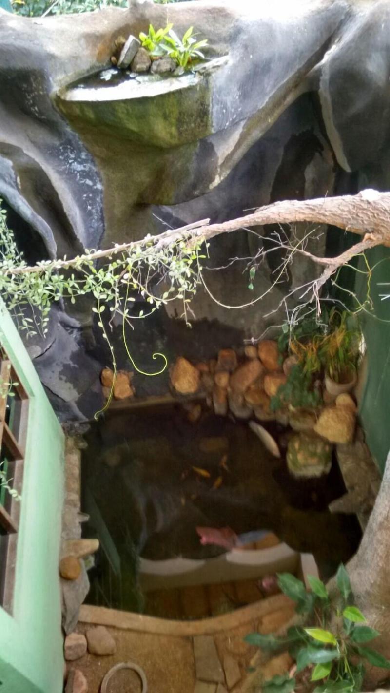 Ka Mario Guesthouse image