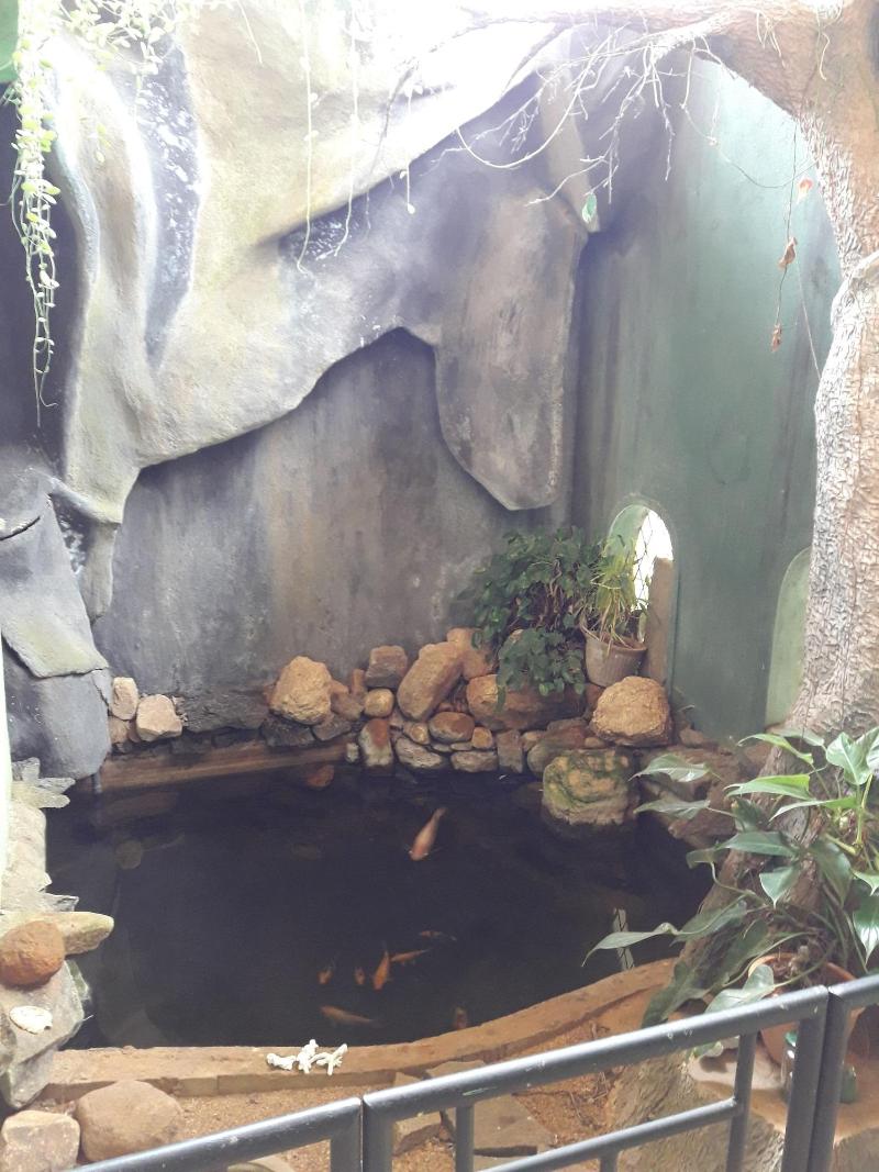 Ka Mario Guesthouse image