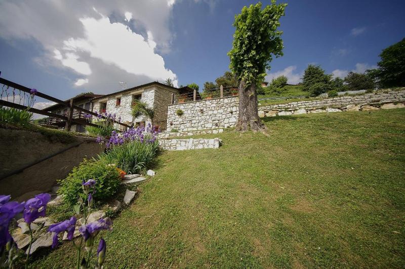 Callort — main photo