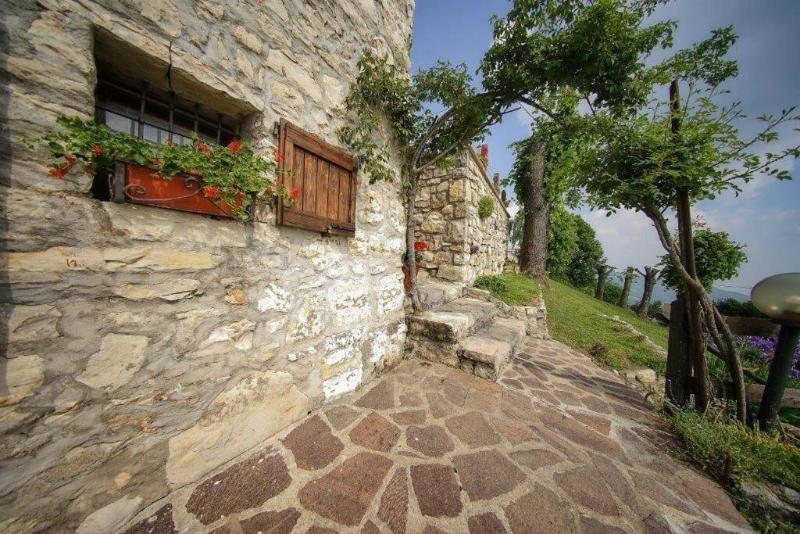 Callort — photo 5