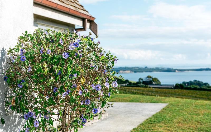 Mudbrick Cottages image