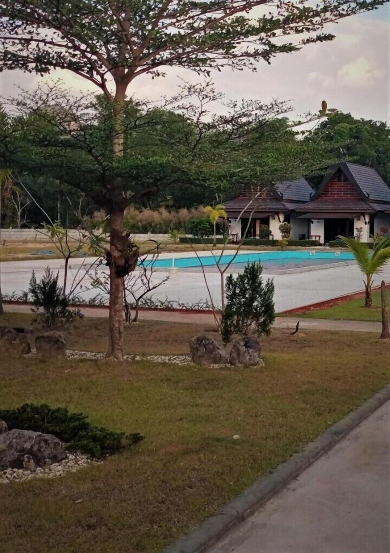 Paradis Vert image