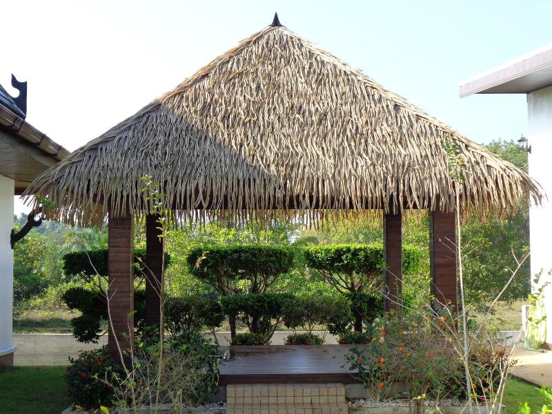 Paradis Vert image