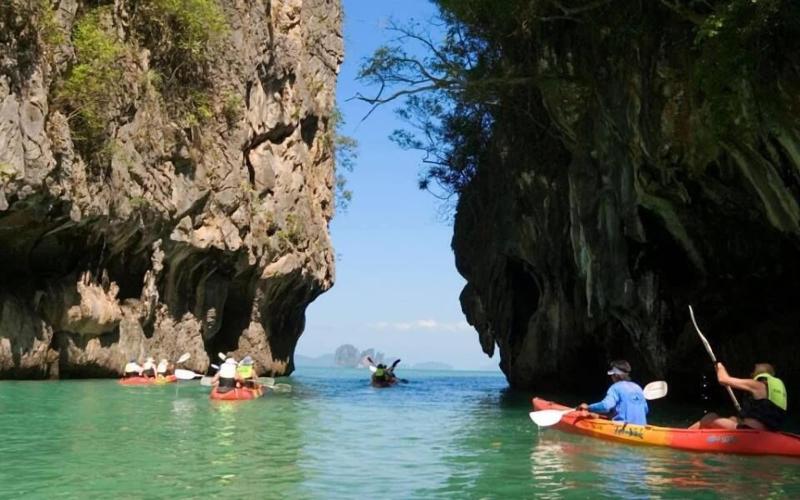 Paradis Vert image