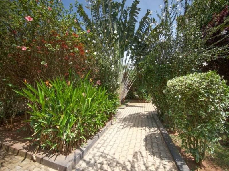 Papyrus Guest House image
