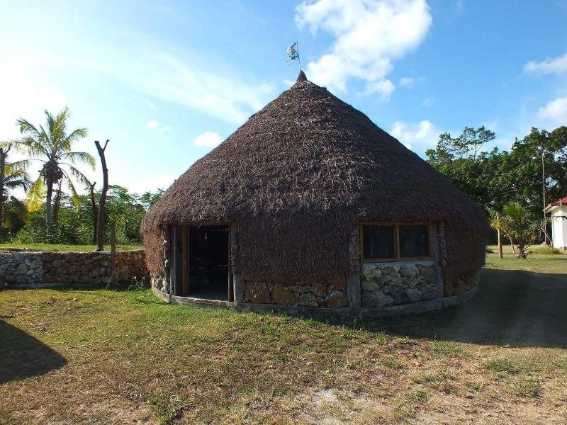 Fenepaza image