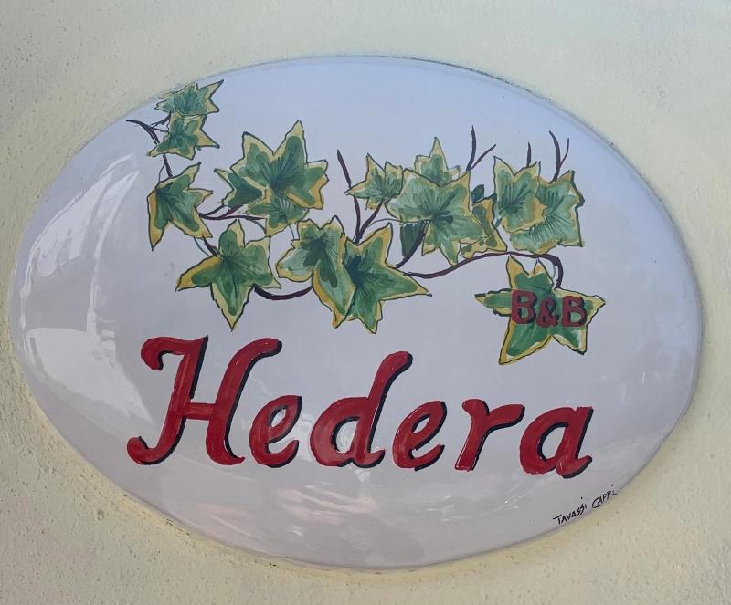 Hedera image