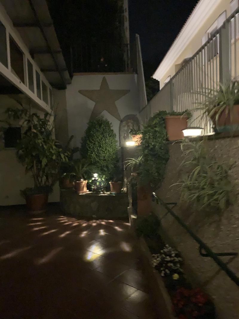 Hedera image