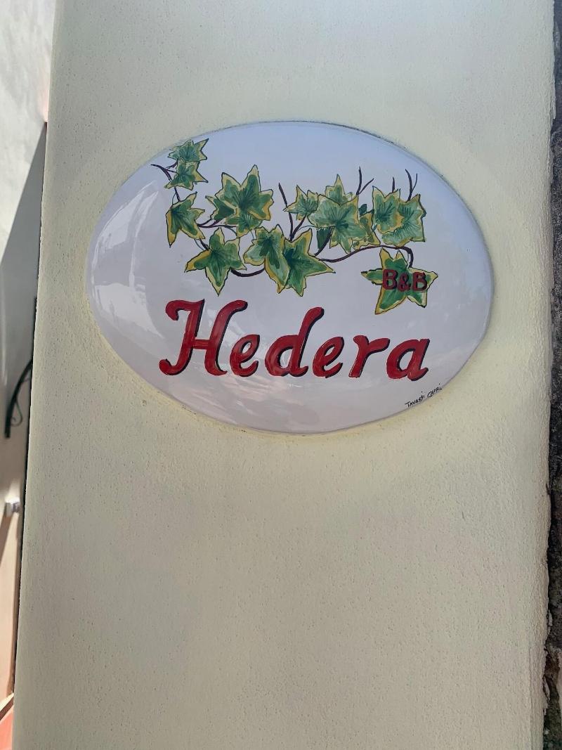 Hedera image