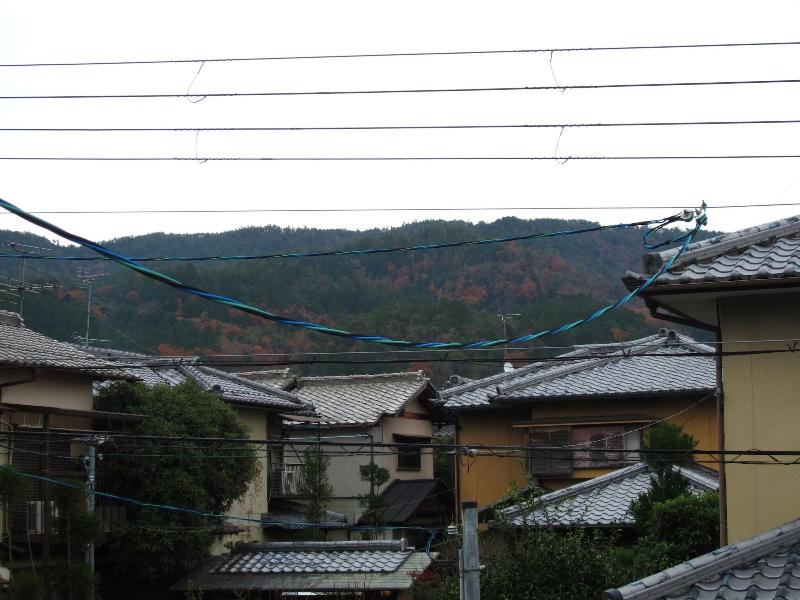 Kyonosato image