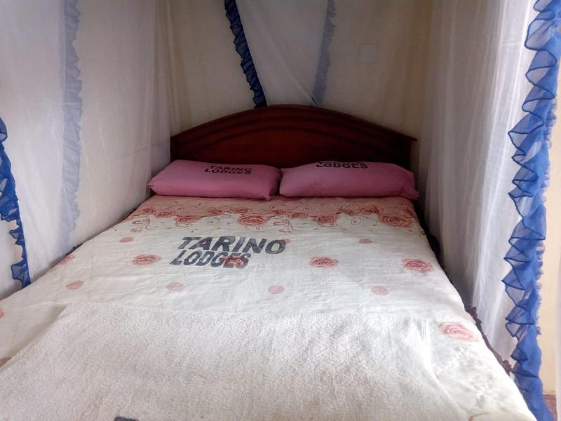 Tarino Bar And Lodging image