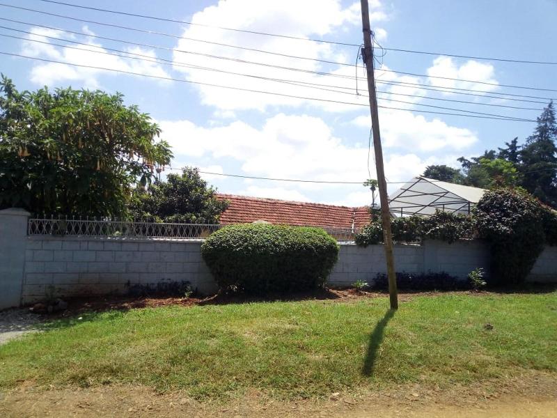 Rigel Inn image