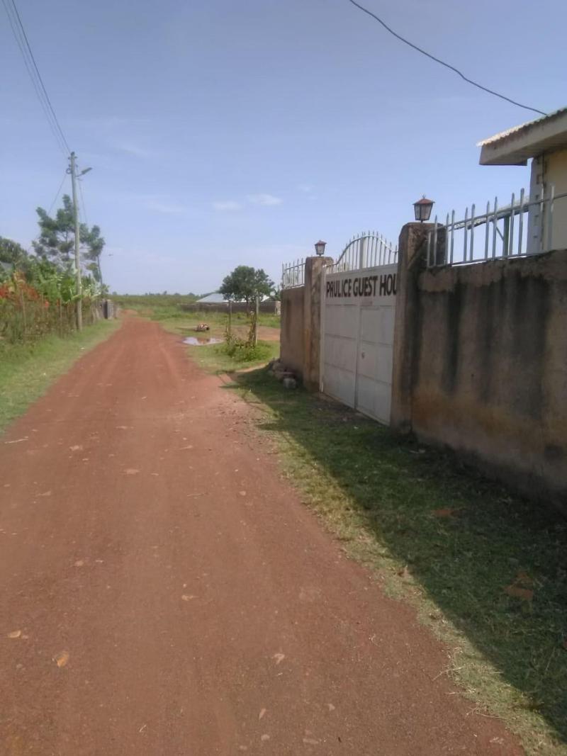 Paulice Guest House image